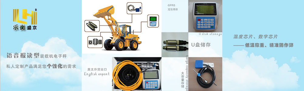 沈阳乐衡铁路装载机电子秤,轨道衡计量告别超载